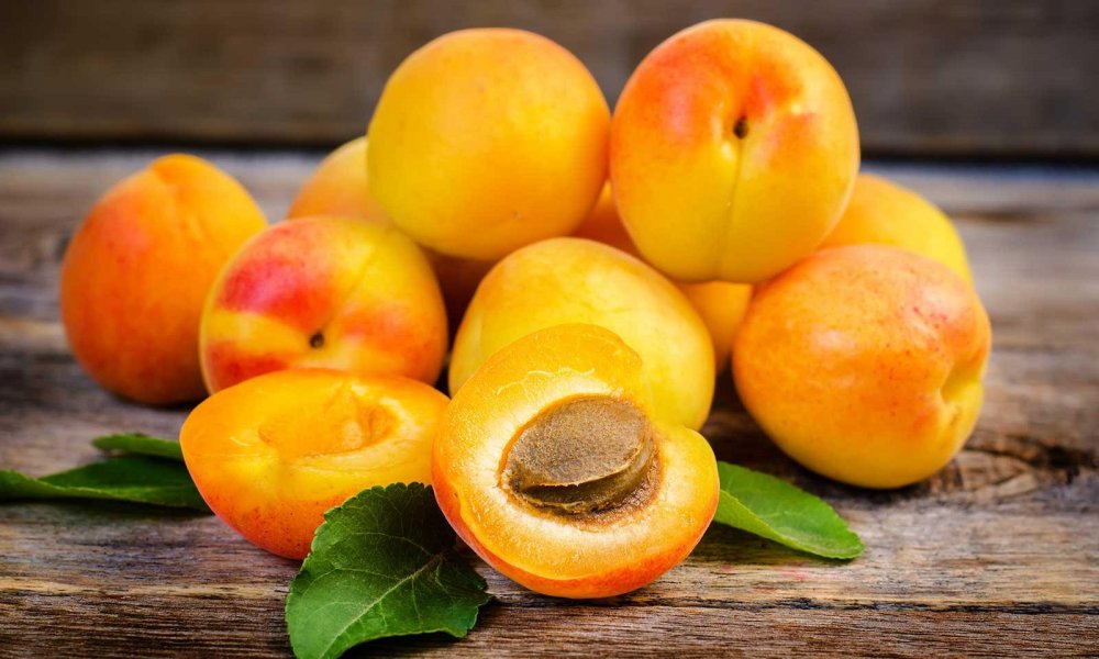 Apricots – абрикосы