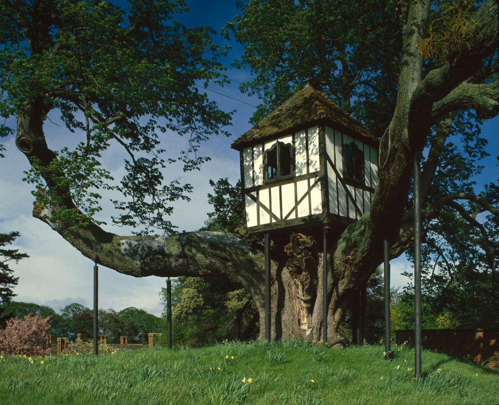 Дом на дереве проект