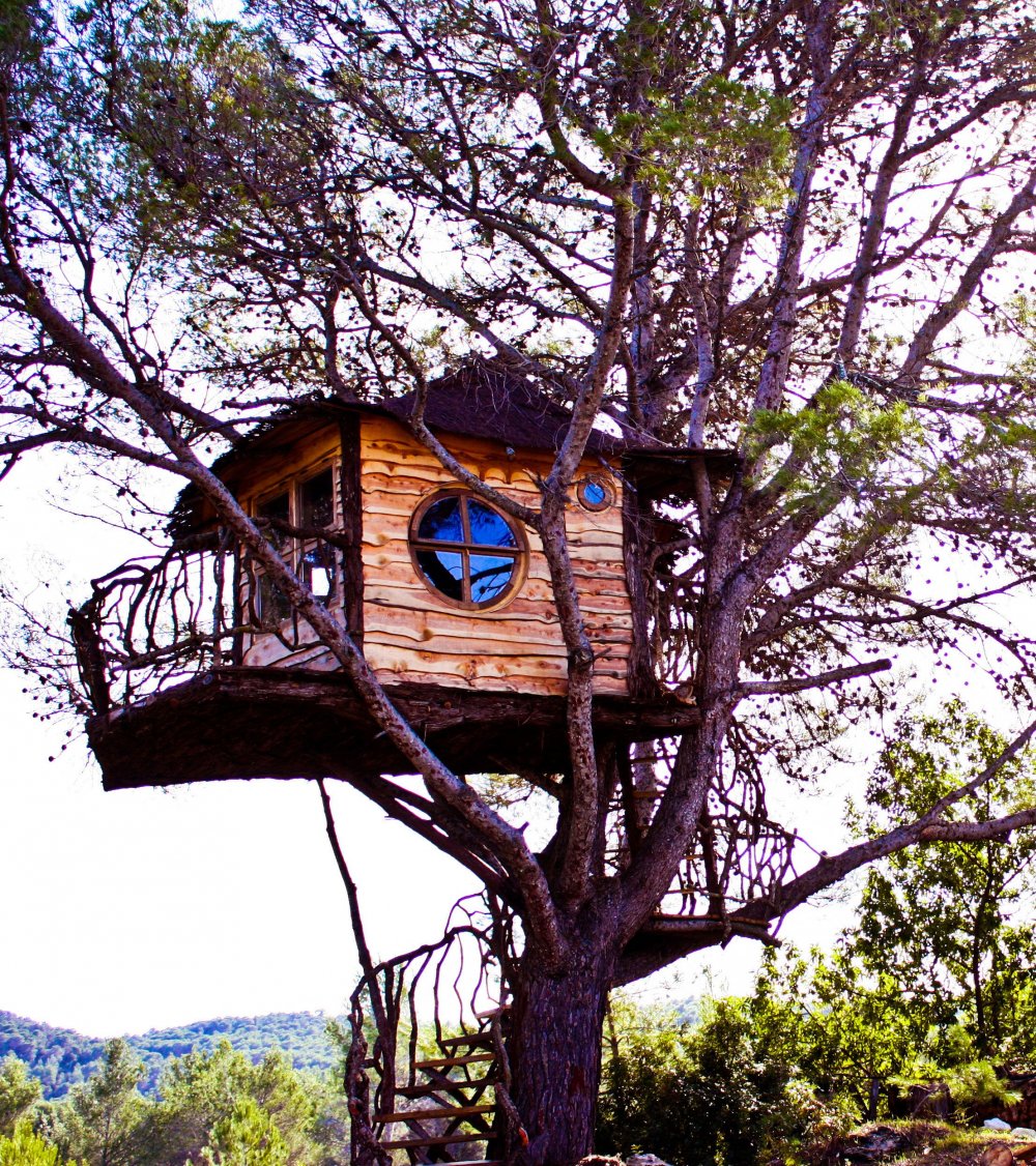 Tree House Кишинев