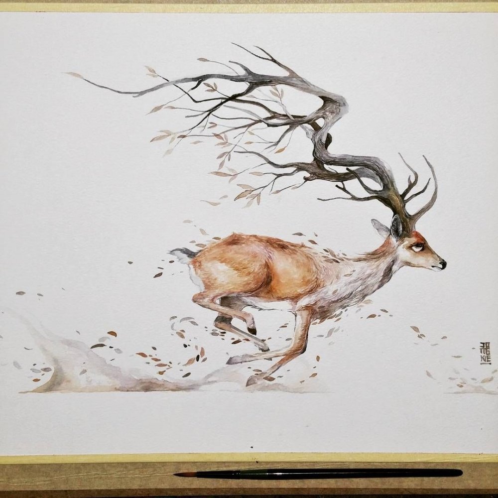 Рисунок оленя для срисовки