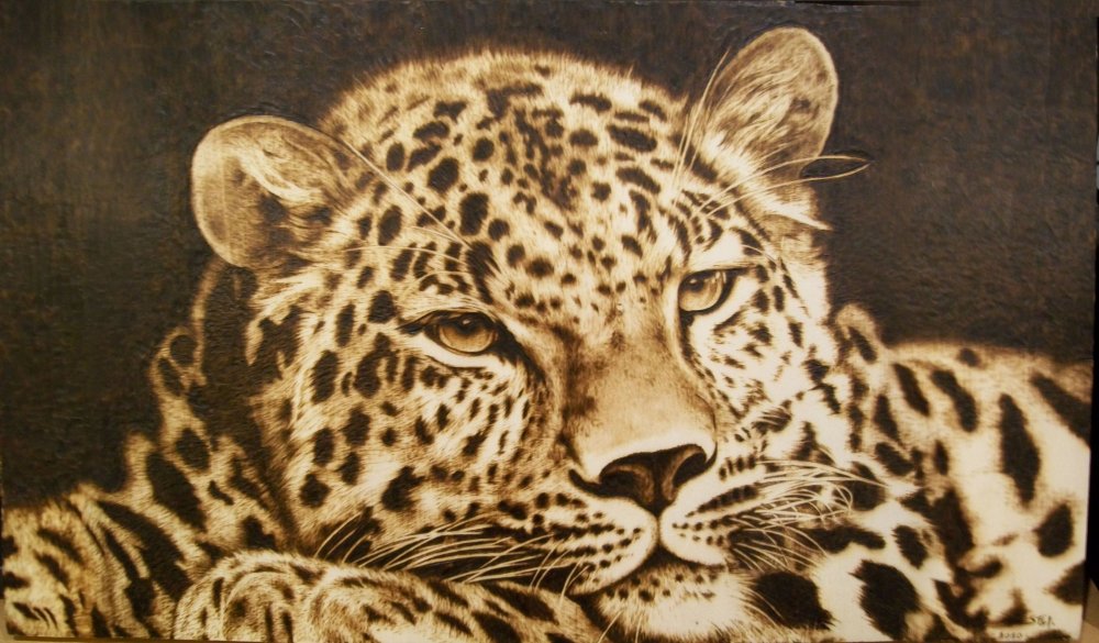 Пирография леопард