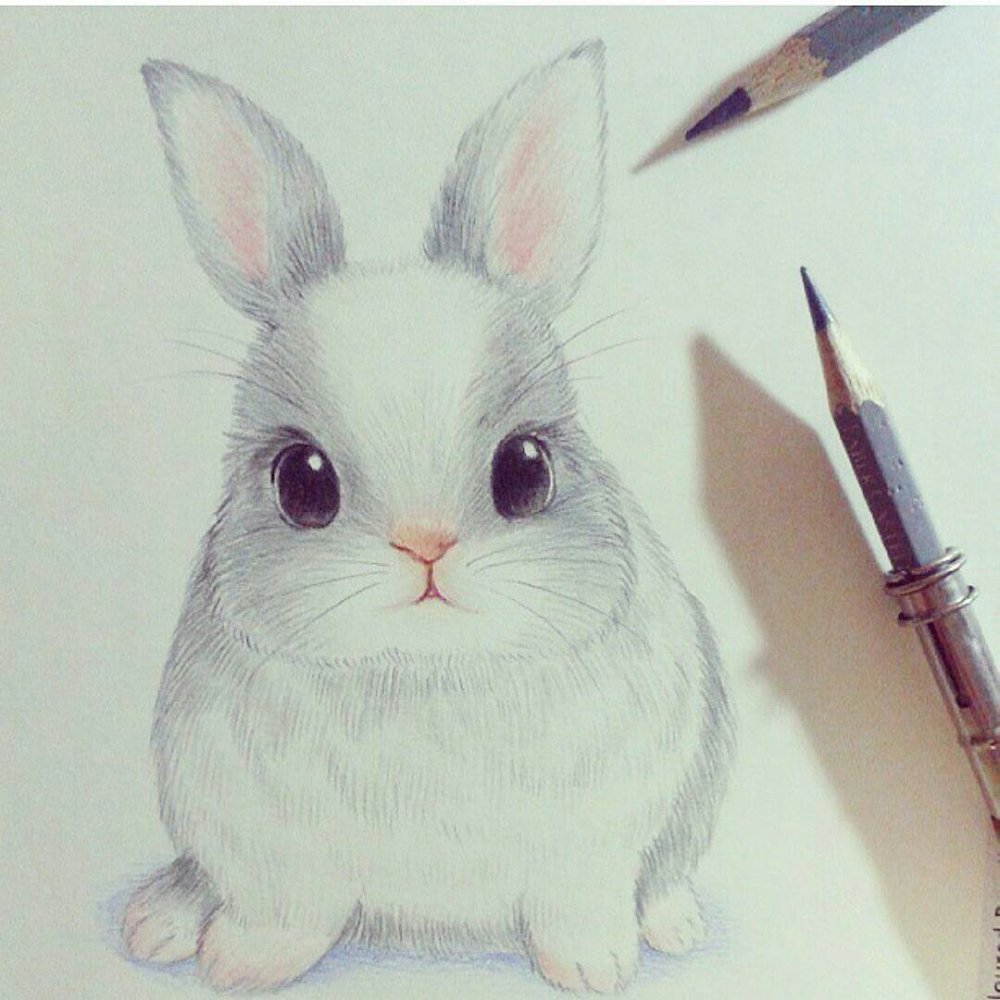 Лёгкие рисунки кролика