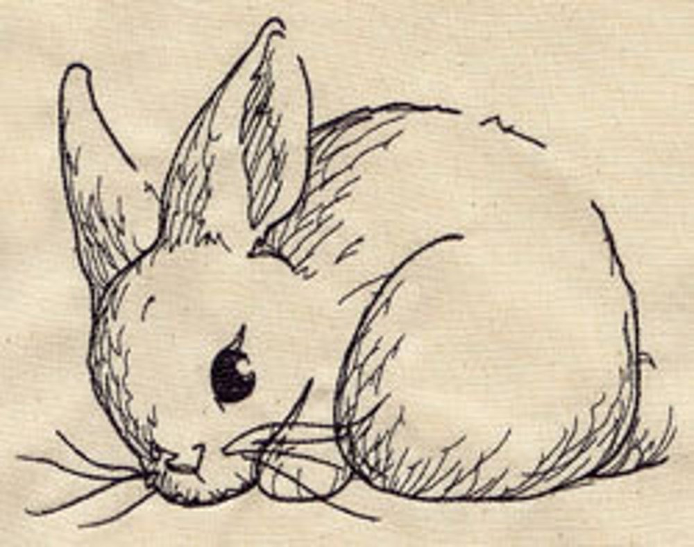 Рисование кролика вислоухого