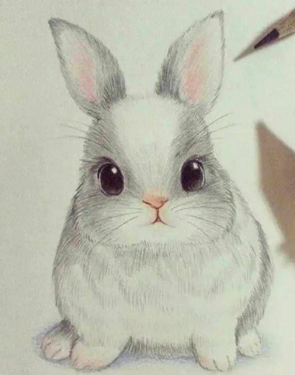 Кролик для срисовки легкие