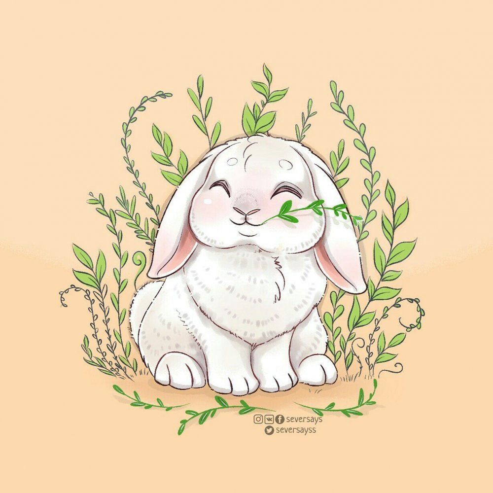 Много нарисованных кроликов
