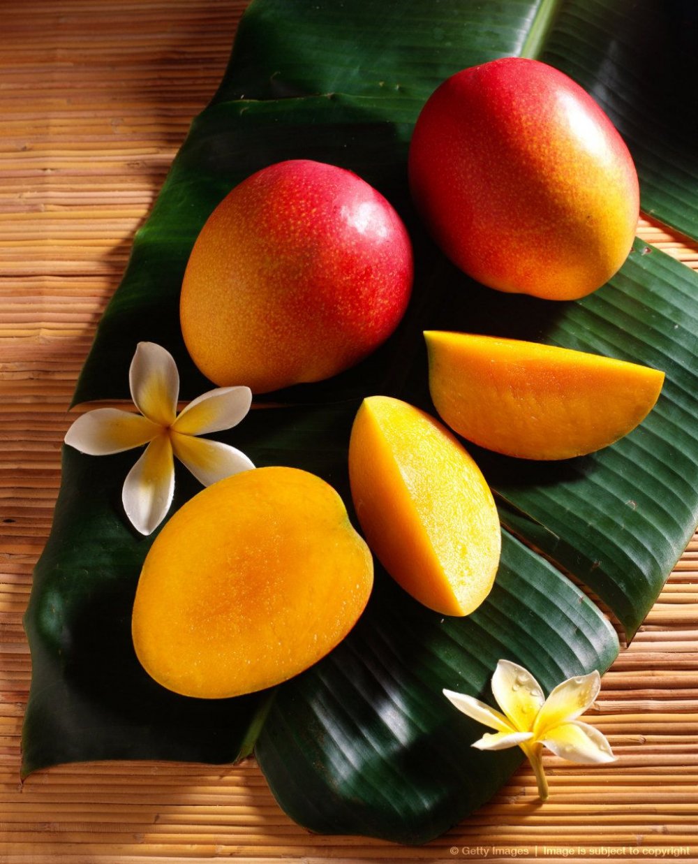 Ананас манго авокадо и Кокос