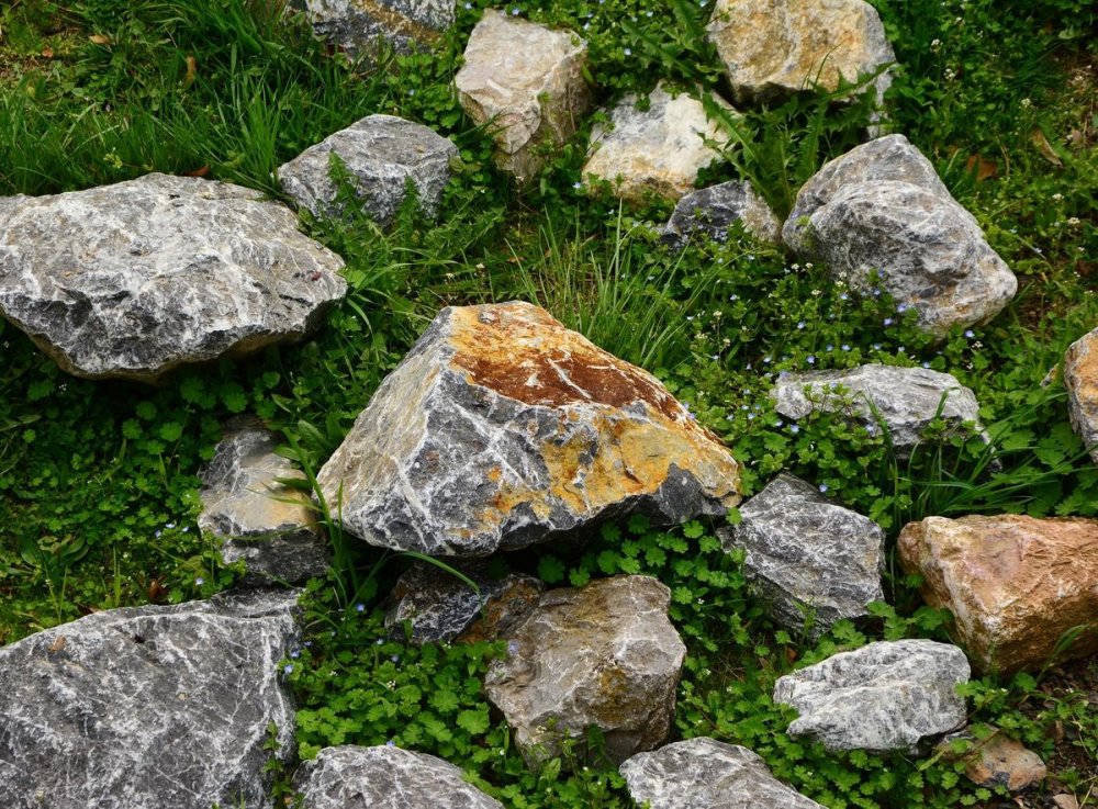 Известняк ABBAS limestone