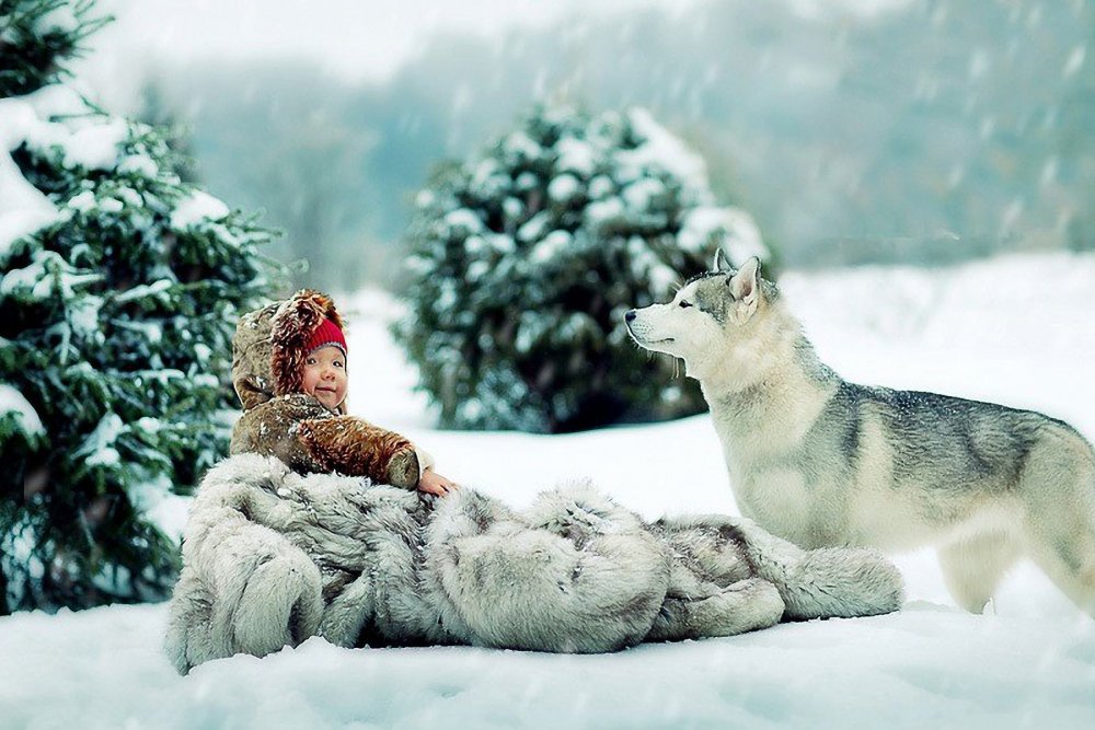 Зима животные