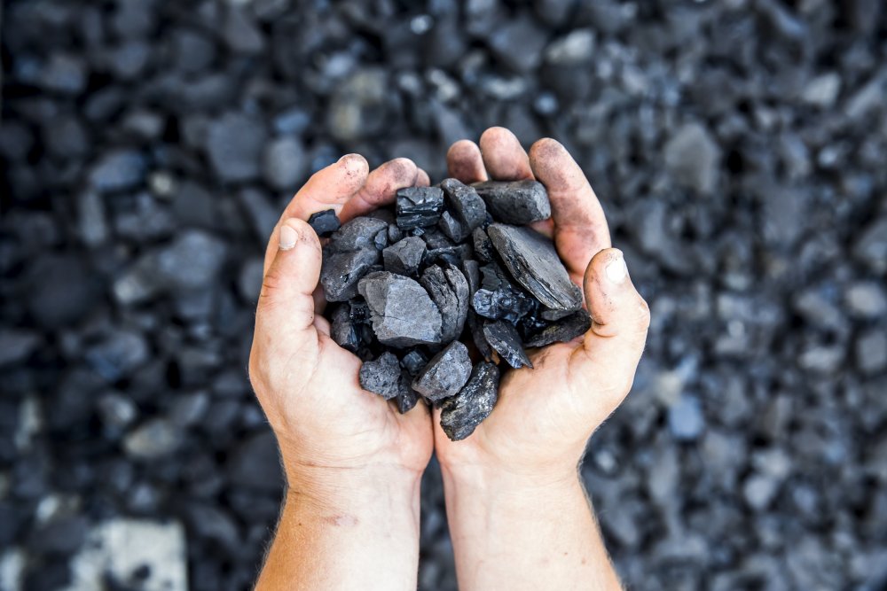 Каменный уголь в природе