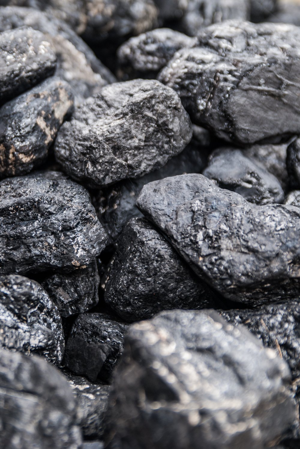 Lignite Coal