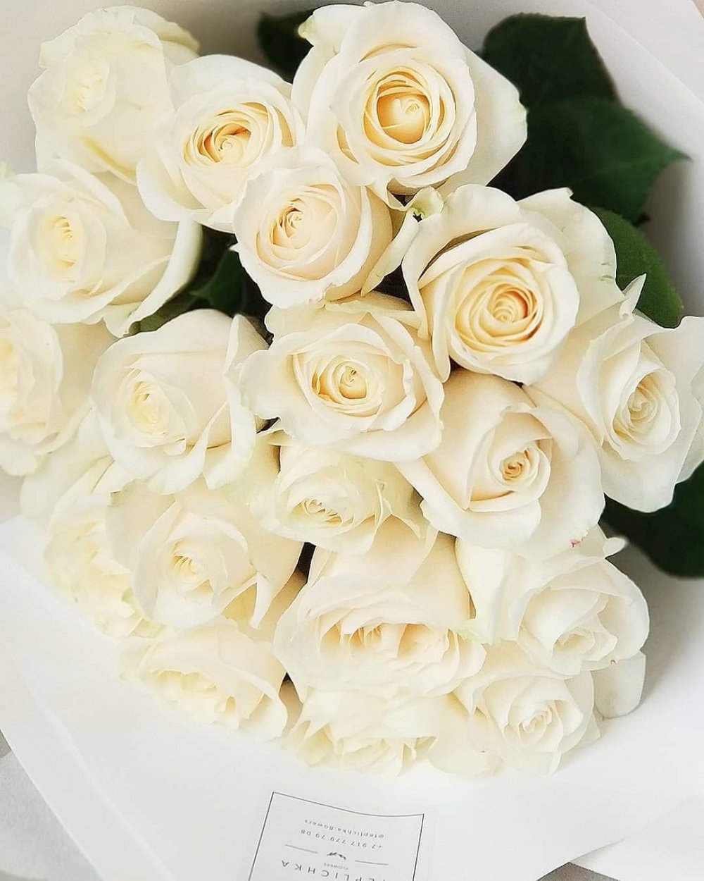 Роза White Bouquet (Korsnoda)