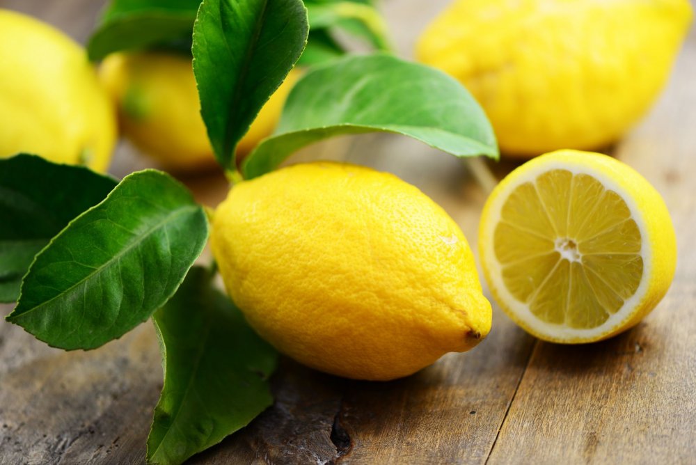 Обои лимон HD
