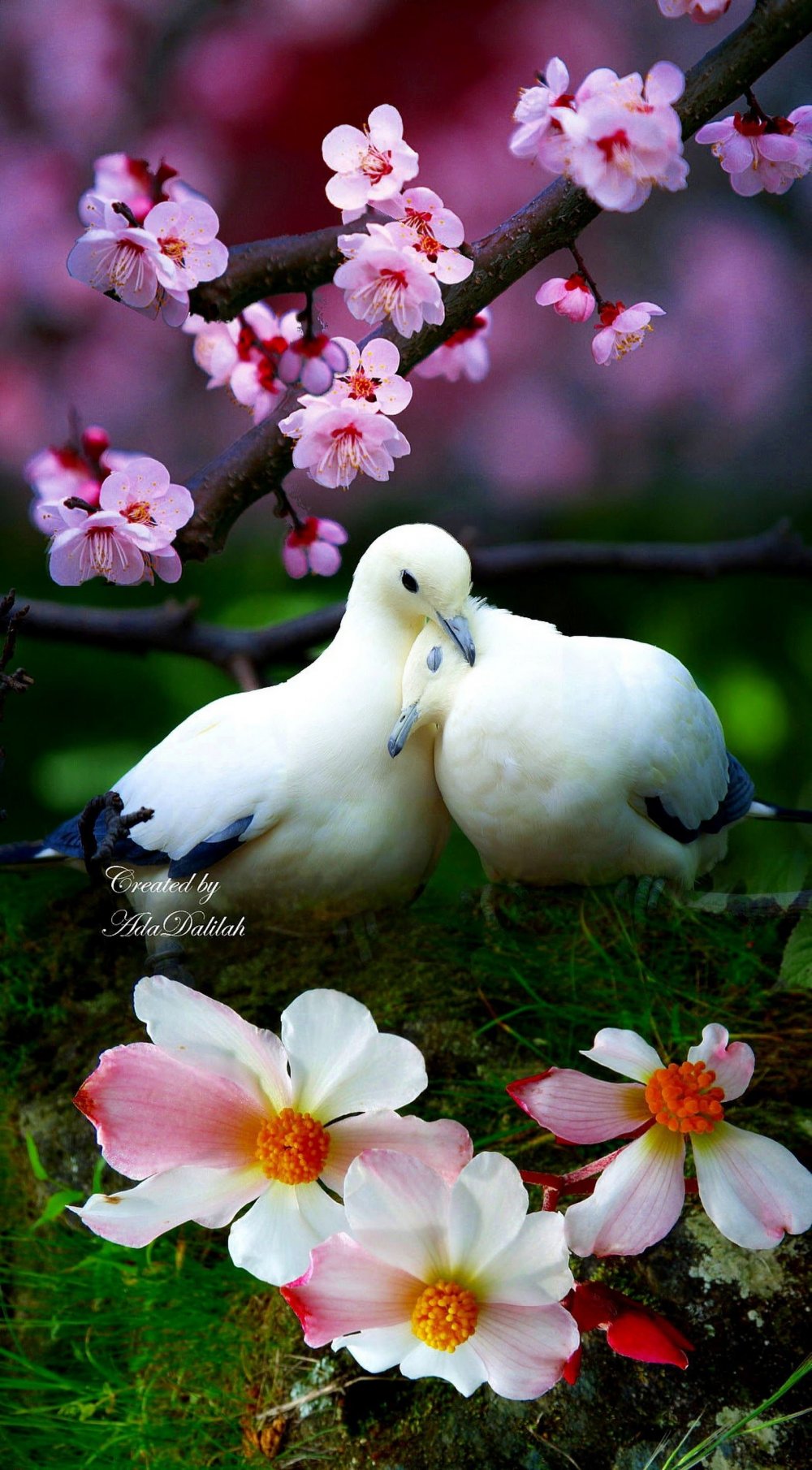 Красивые картинки с птицами и цветами