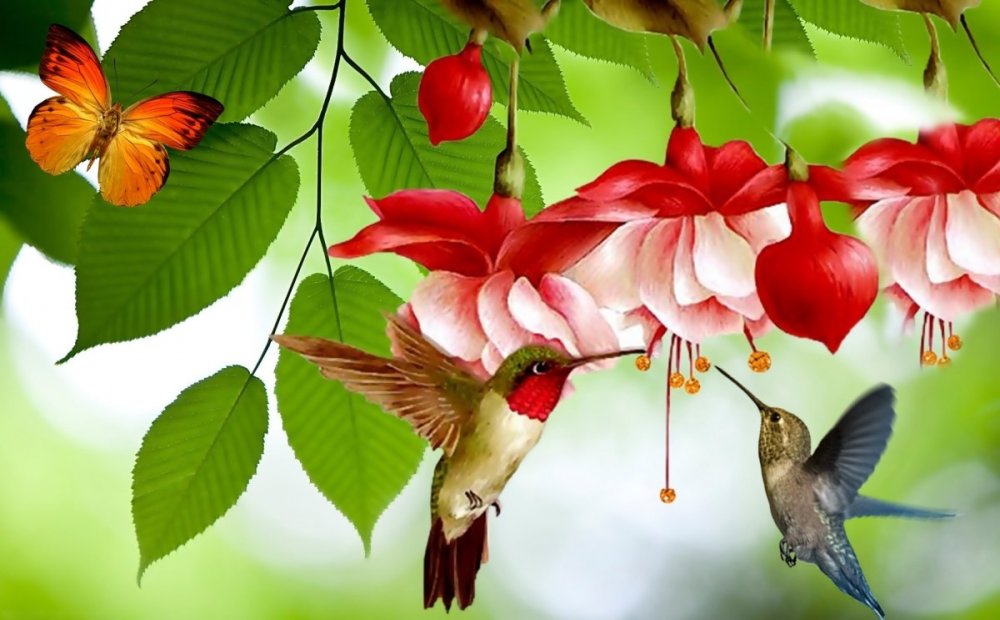 Райские птицы в цветах