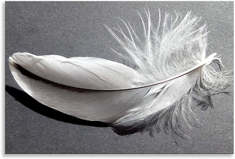 Бирюзовые перья