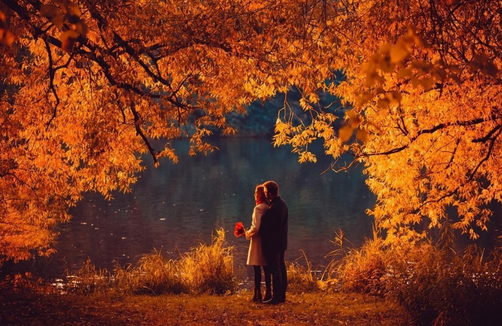 Пара осенью в парке