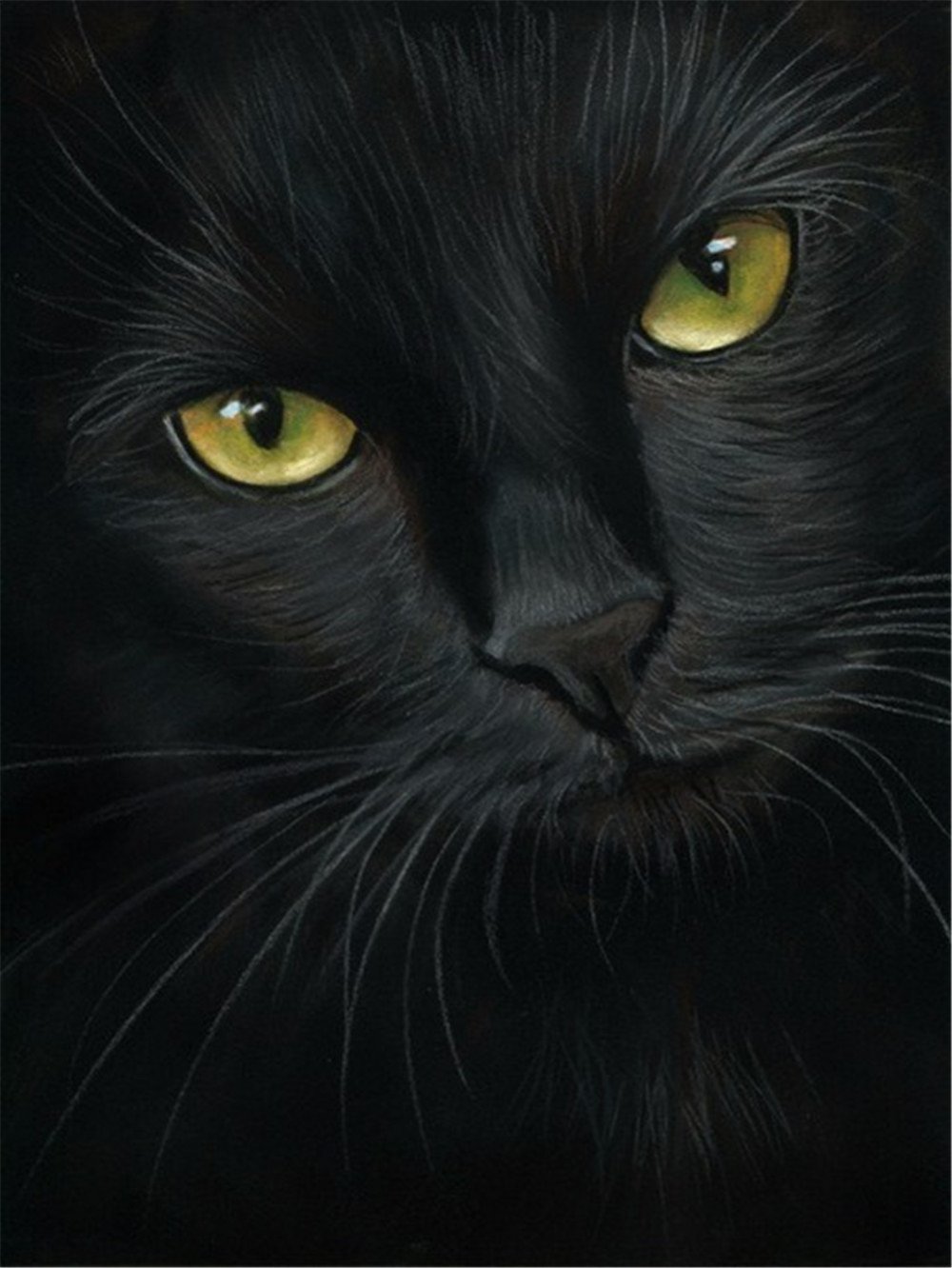Шикарный черный кот