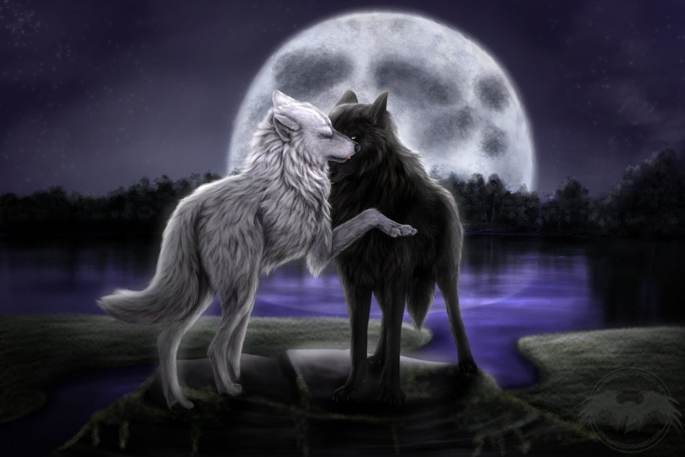 Два волка добро и зло