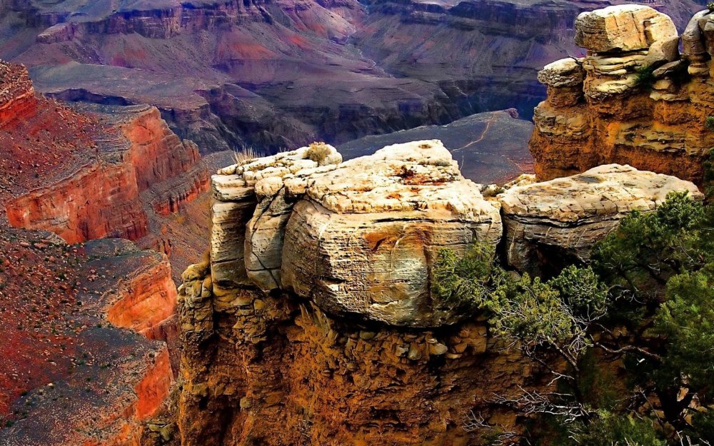 Canyon Grand Canyon "29""