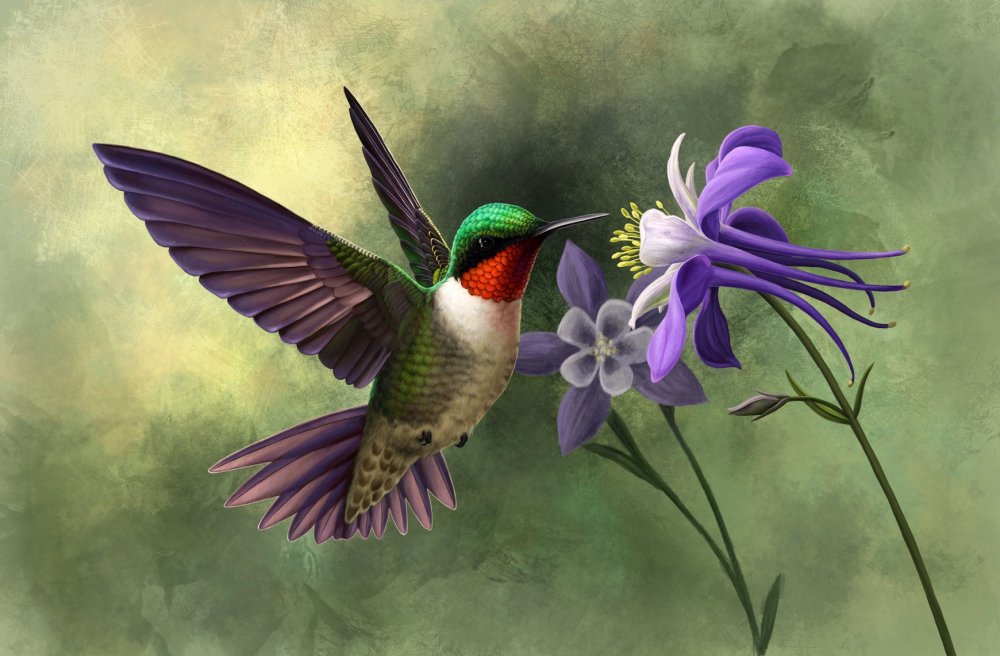 Красивые картинки птицы и цветы