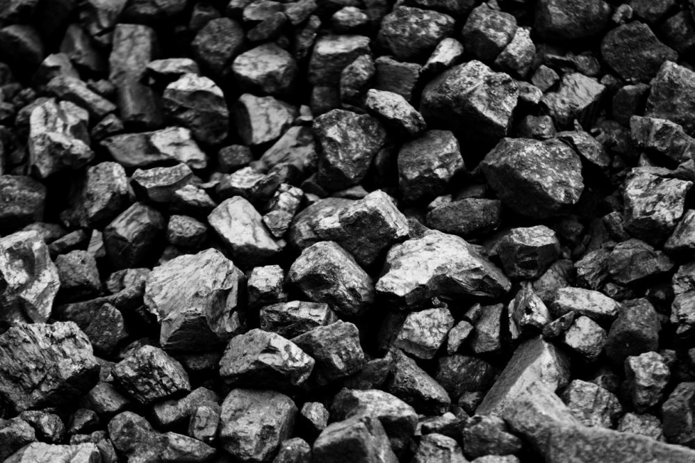 Обыкновенный каменный уголь