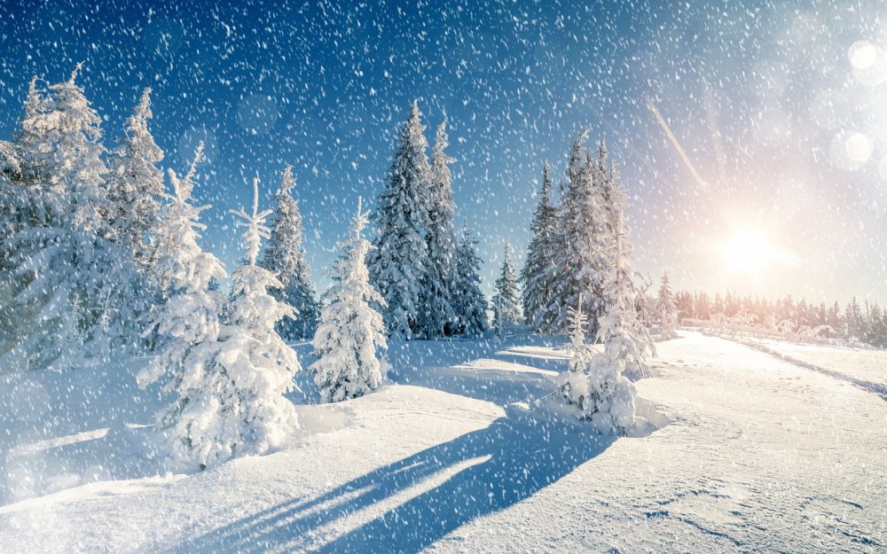 Красивая природа зима