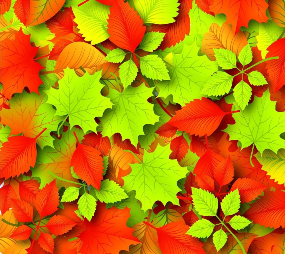 Красивые листья