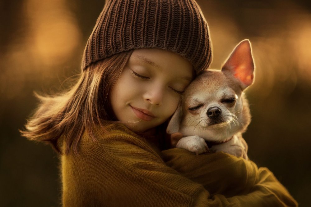 Дети и животные доброта