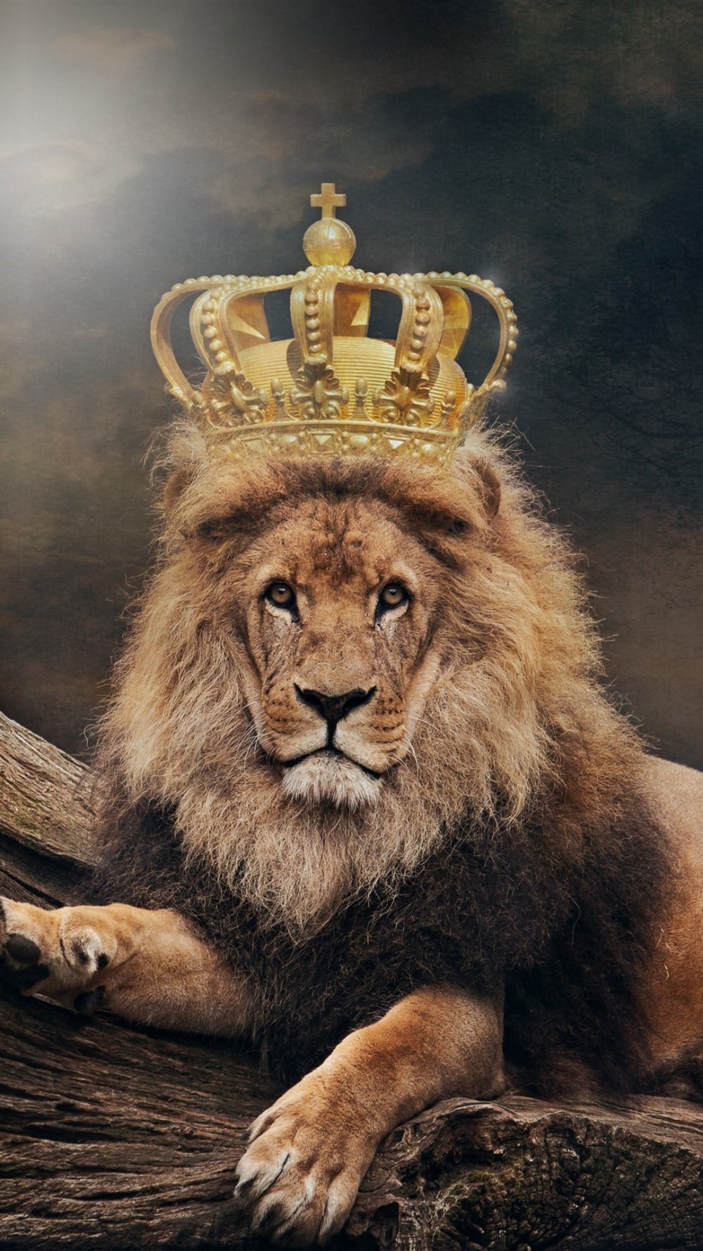 Грозный Лев с короной