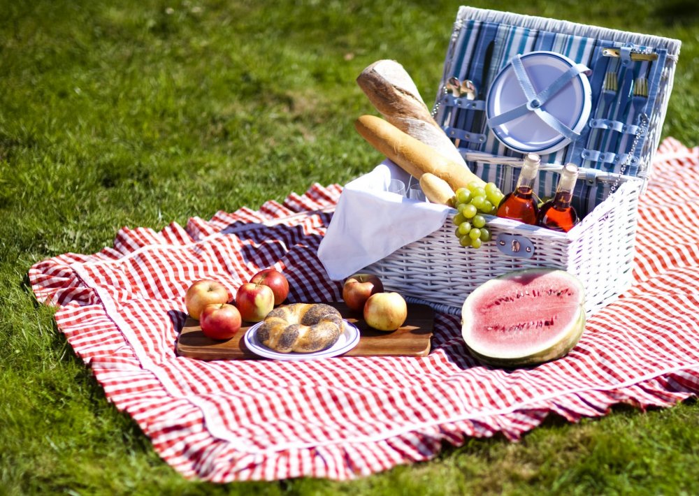 Международный день пикника