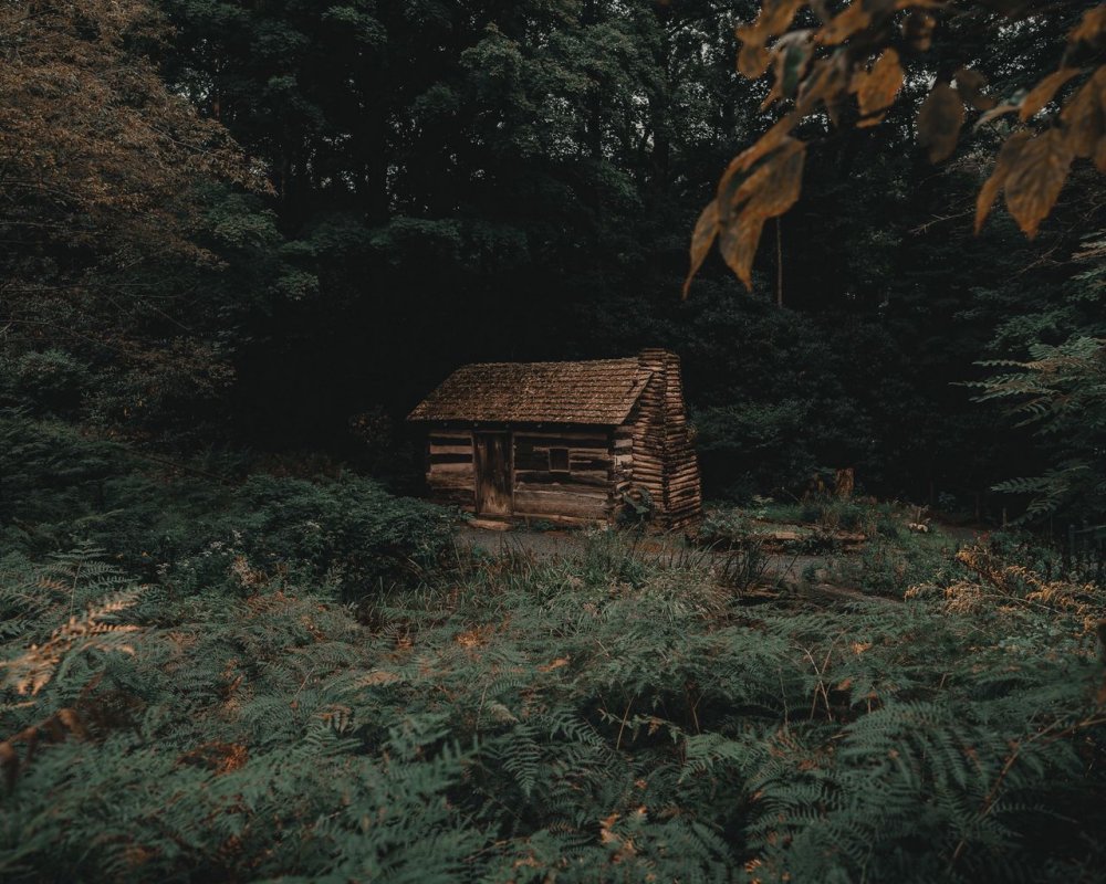 Домик лесника в лесу