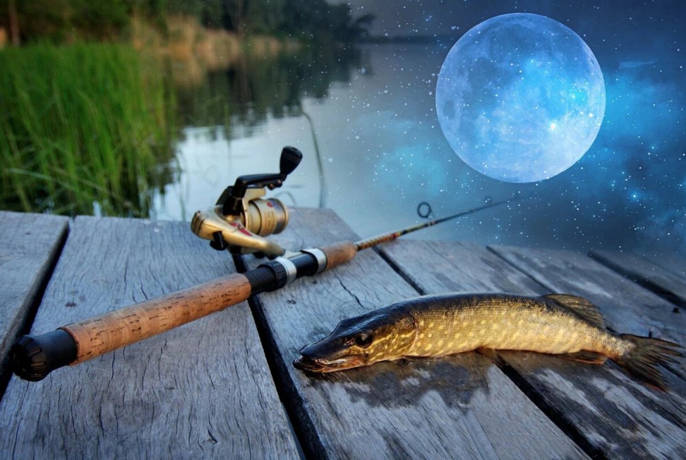 Красивая природа рыбалка