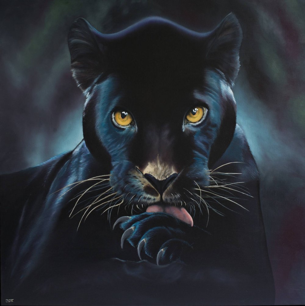 Черная пантера с голубыми глазами