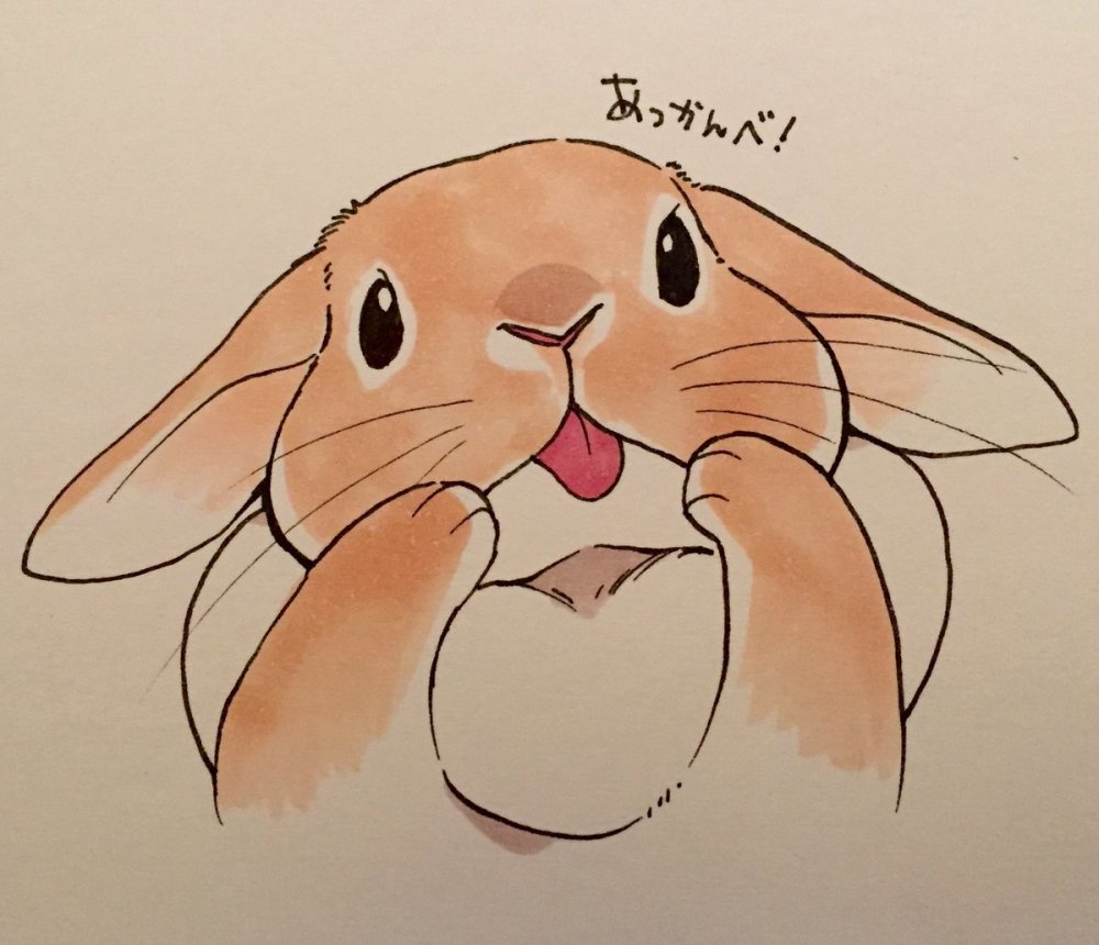 Кролик карандашом для срисовки