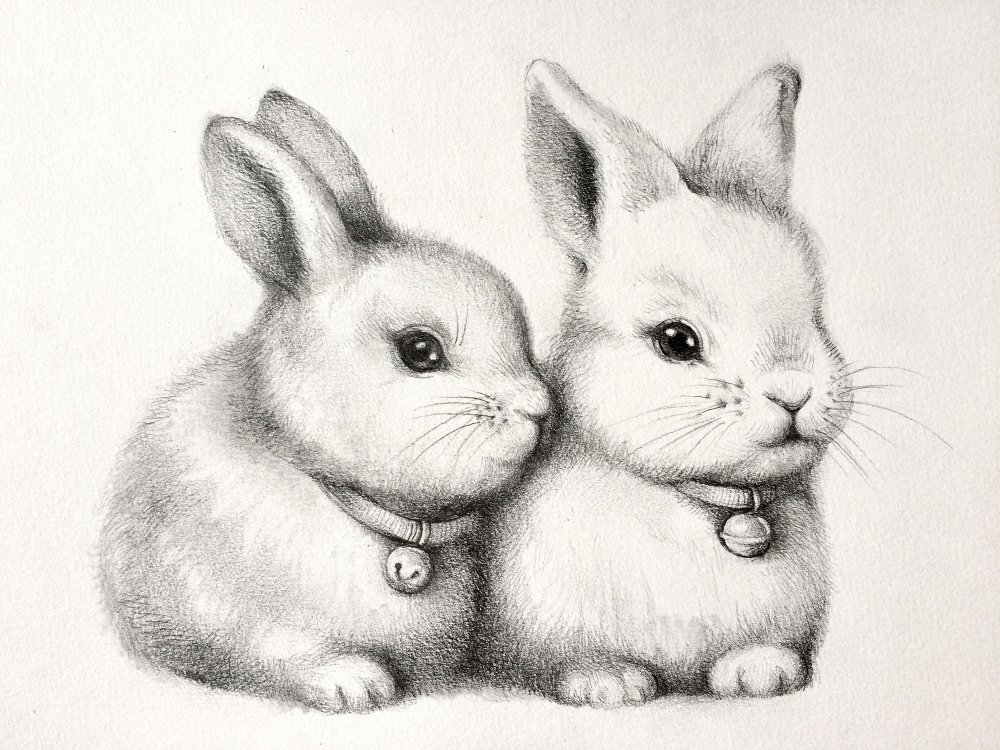 Кролик цветными карандашами