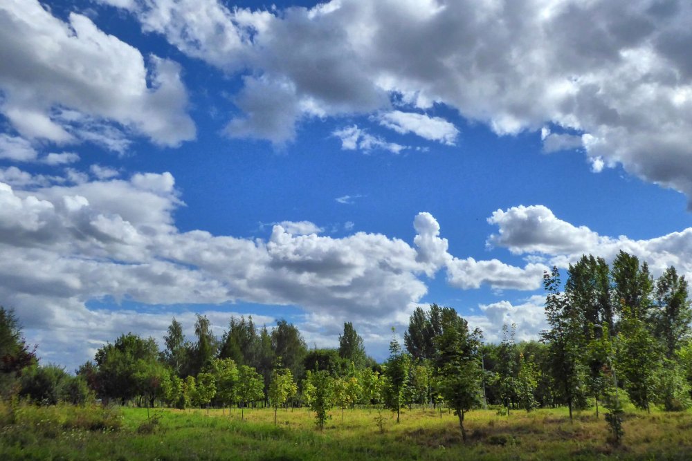 Пейзаж с облаками в России