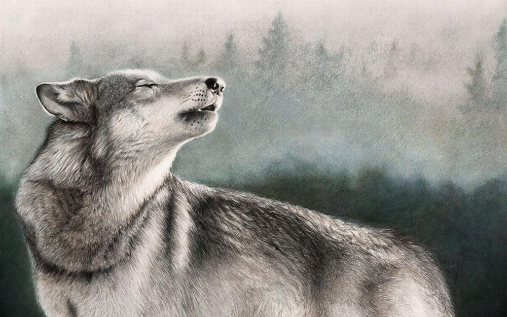 Арийский волк