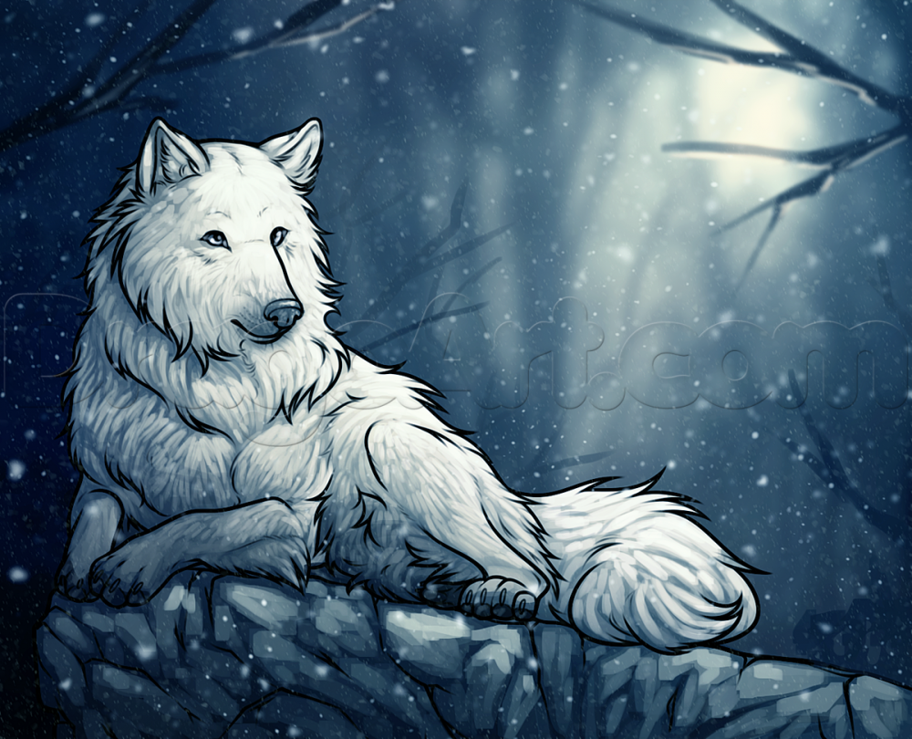 Белого волка рисовки