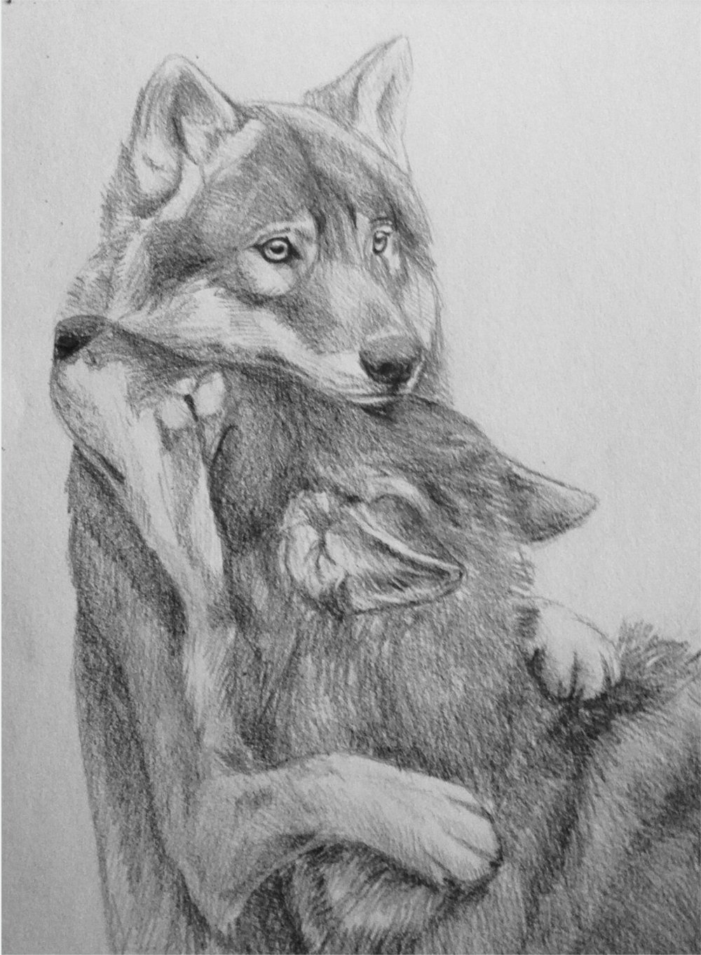 Волки картины художников