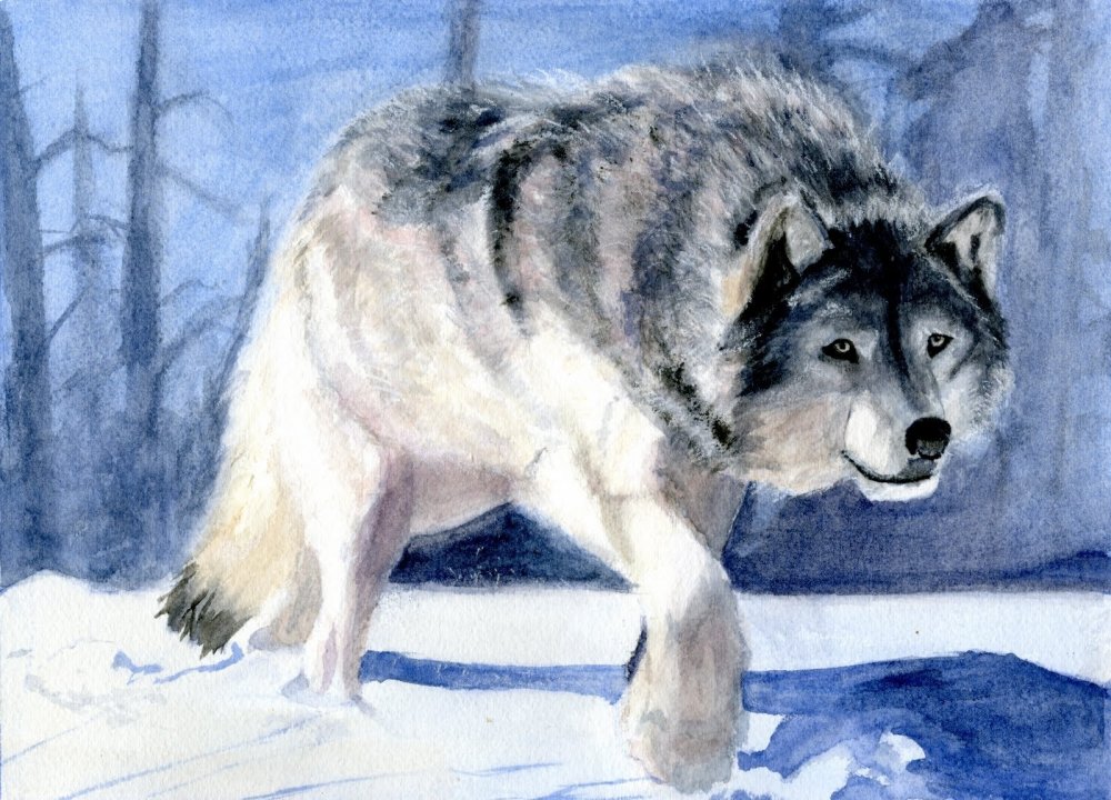 Jonas Jödicke волк