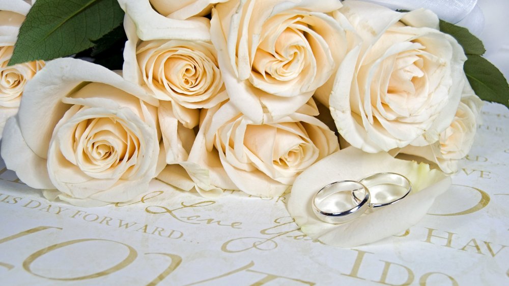 Свадебный фон с кольцами розовых оттенков