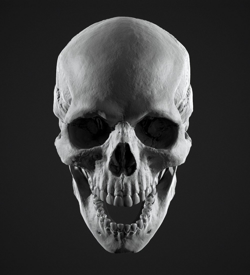 Человеческий череп с открытым ртом