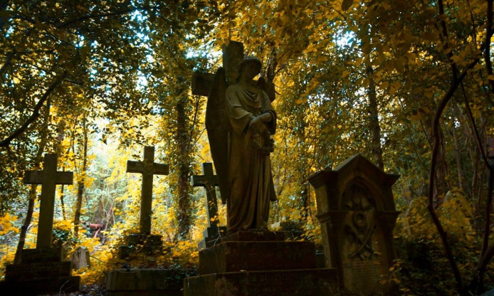 Осень кладбище