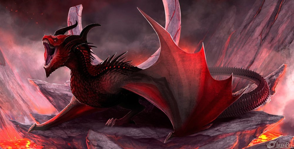 Рыжий дракон арт