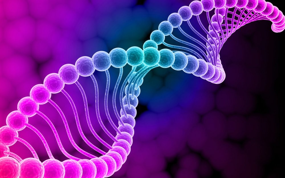 Генетика ДНК