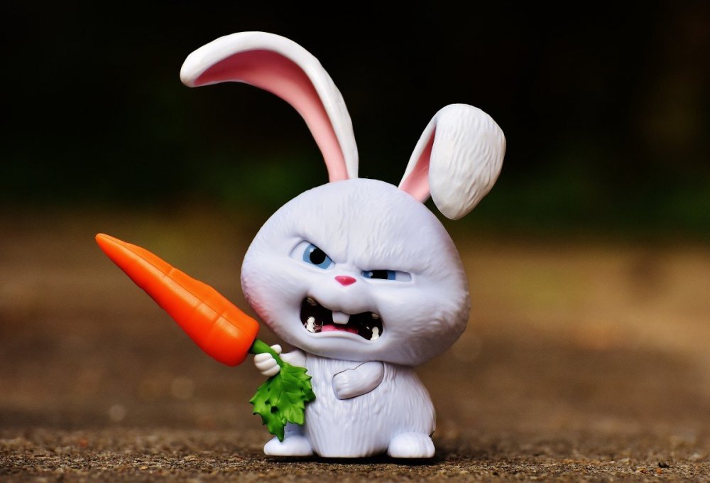 Заяц с морковкой для детей