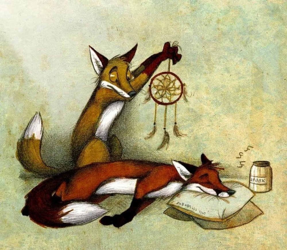 Culpeo Fox лисы