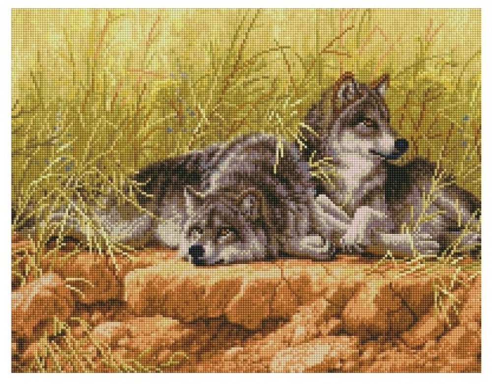 Волчица с волчатами картинки