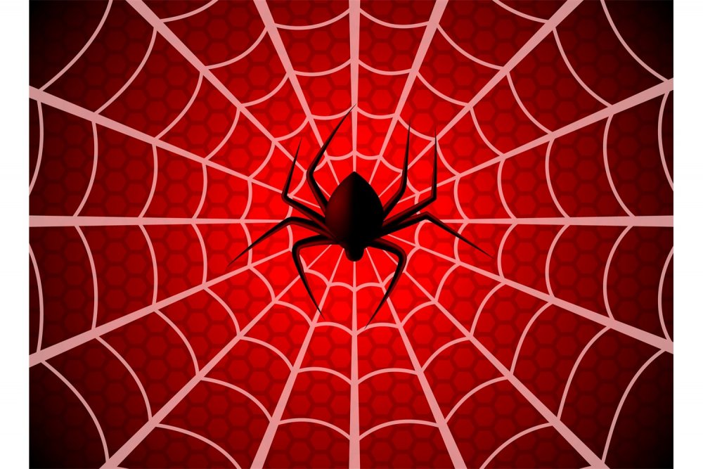 Паутина человека паука
