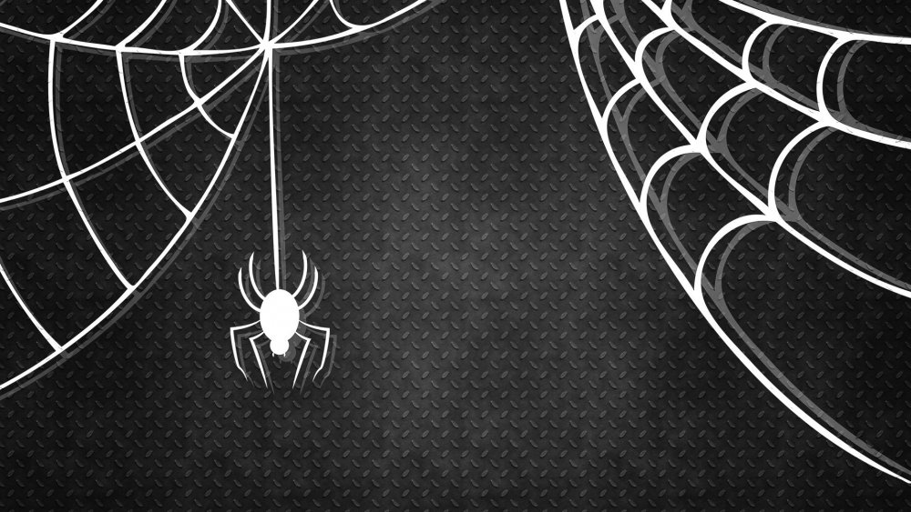 Паутина человека паука паутина